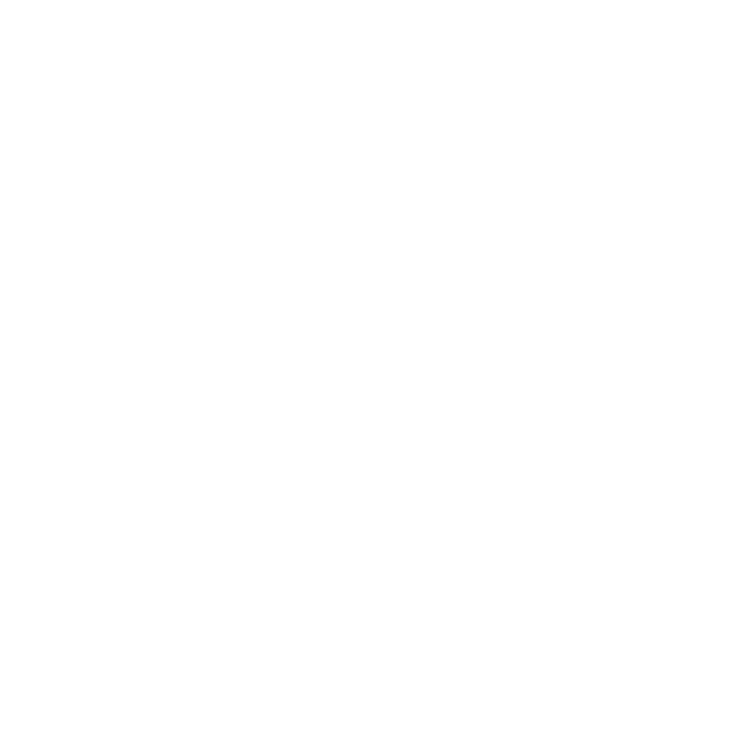 Da Vinci School logo