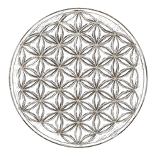 Flower of Life sacred geometry symbol